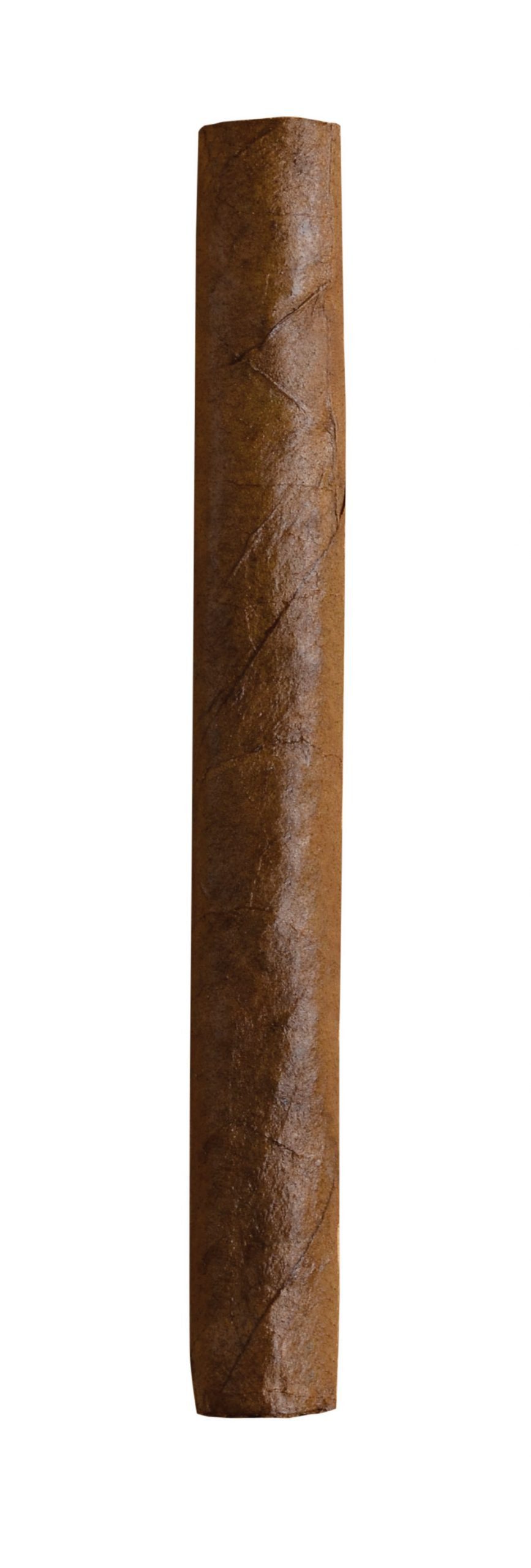 dutch delites sumatra single cigar