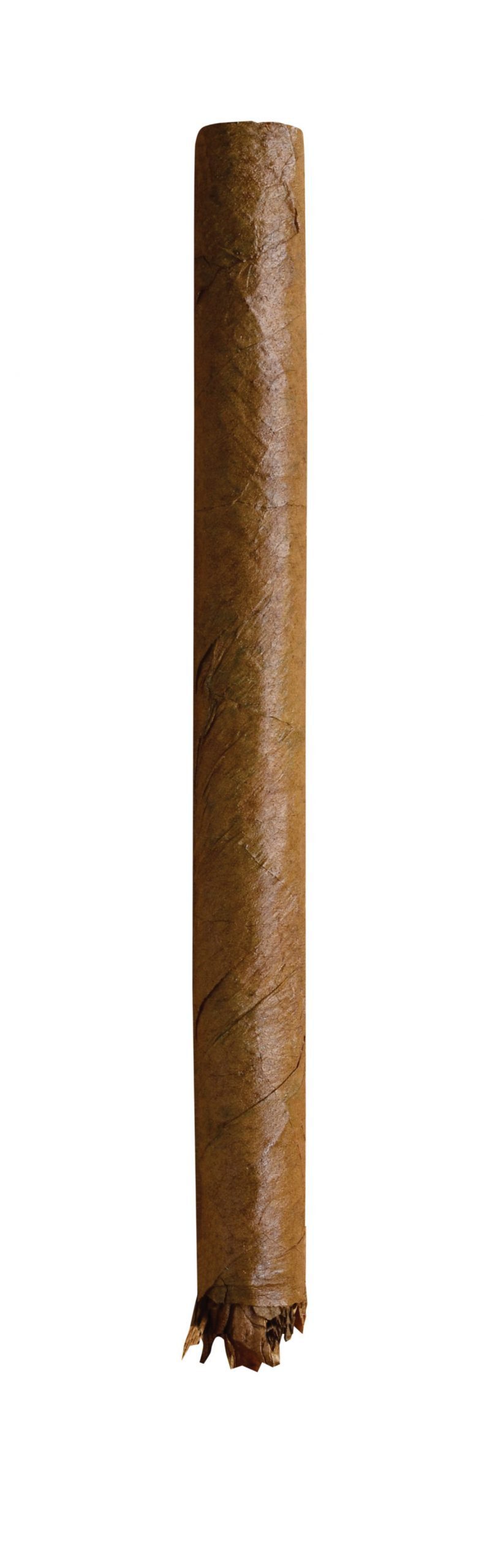 dutch delites sumatra single cigar