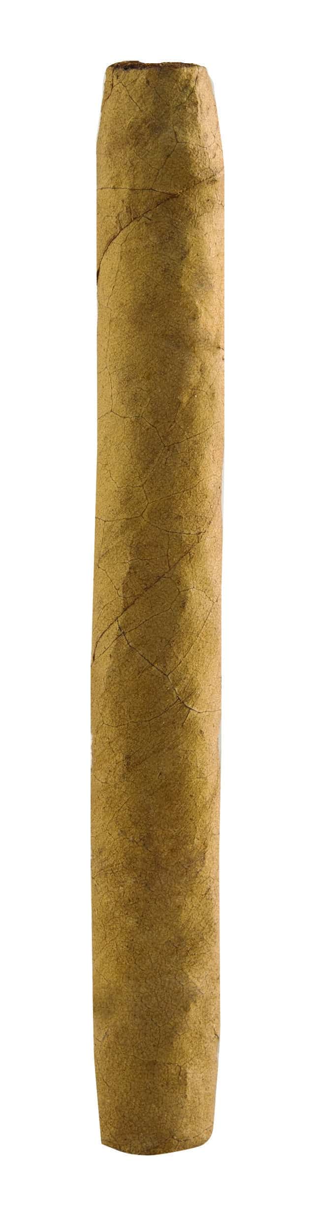 Single Ashton Senoritas Connecticut cigar