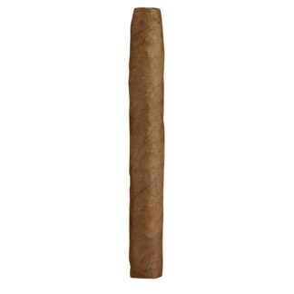 Ashton Senoritas Single Cigar