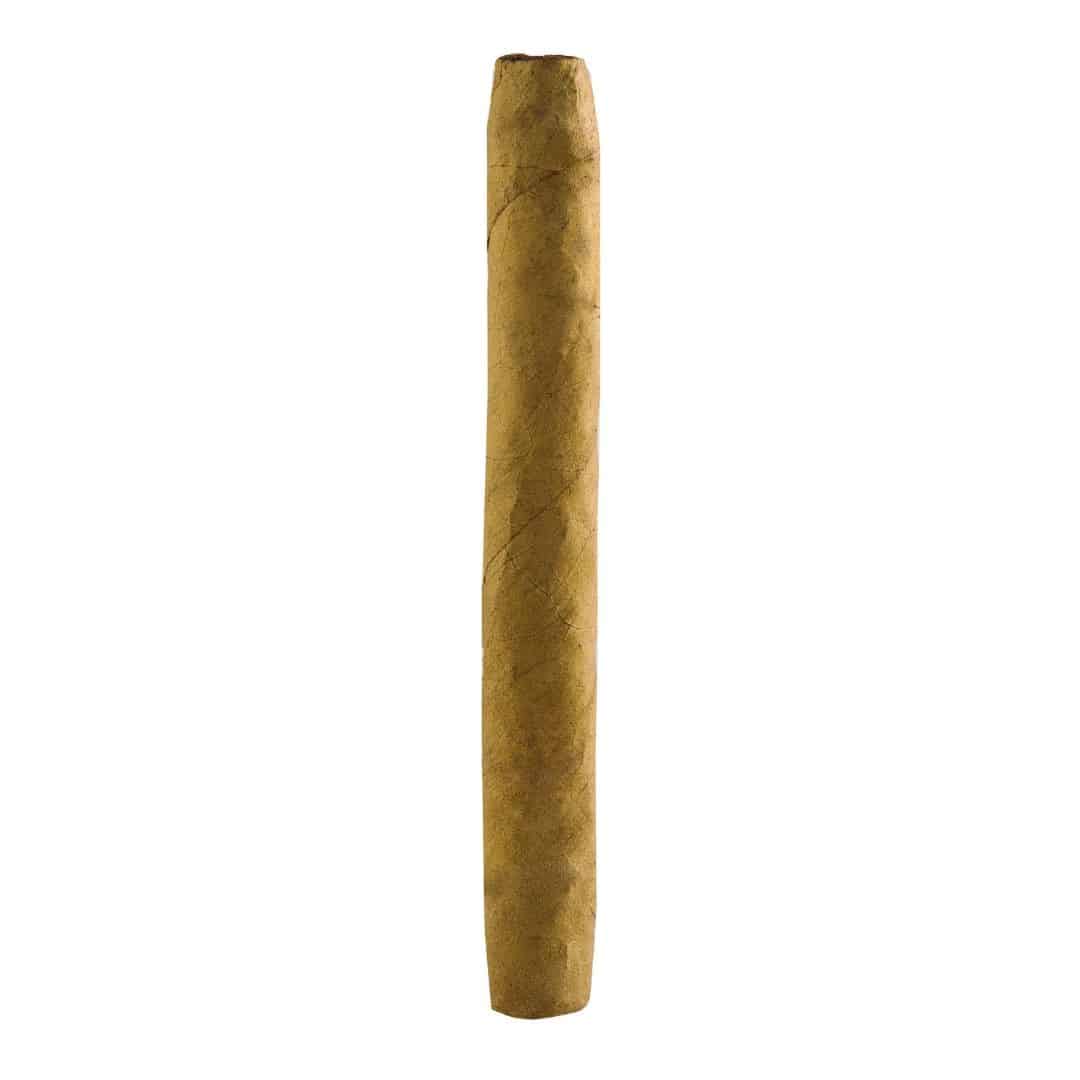 Ashton Senoritas Connecticut Single Cigar