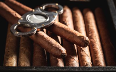 How To Use A Cigar Cutter 101 Guide