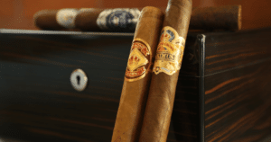 Closed Humidor with Cigars on Top