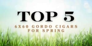 top 5 6x60 gordo cigars of spring 2024