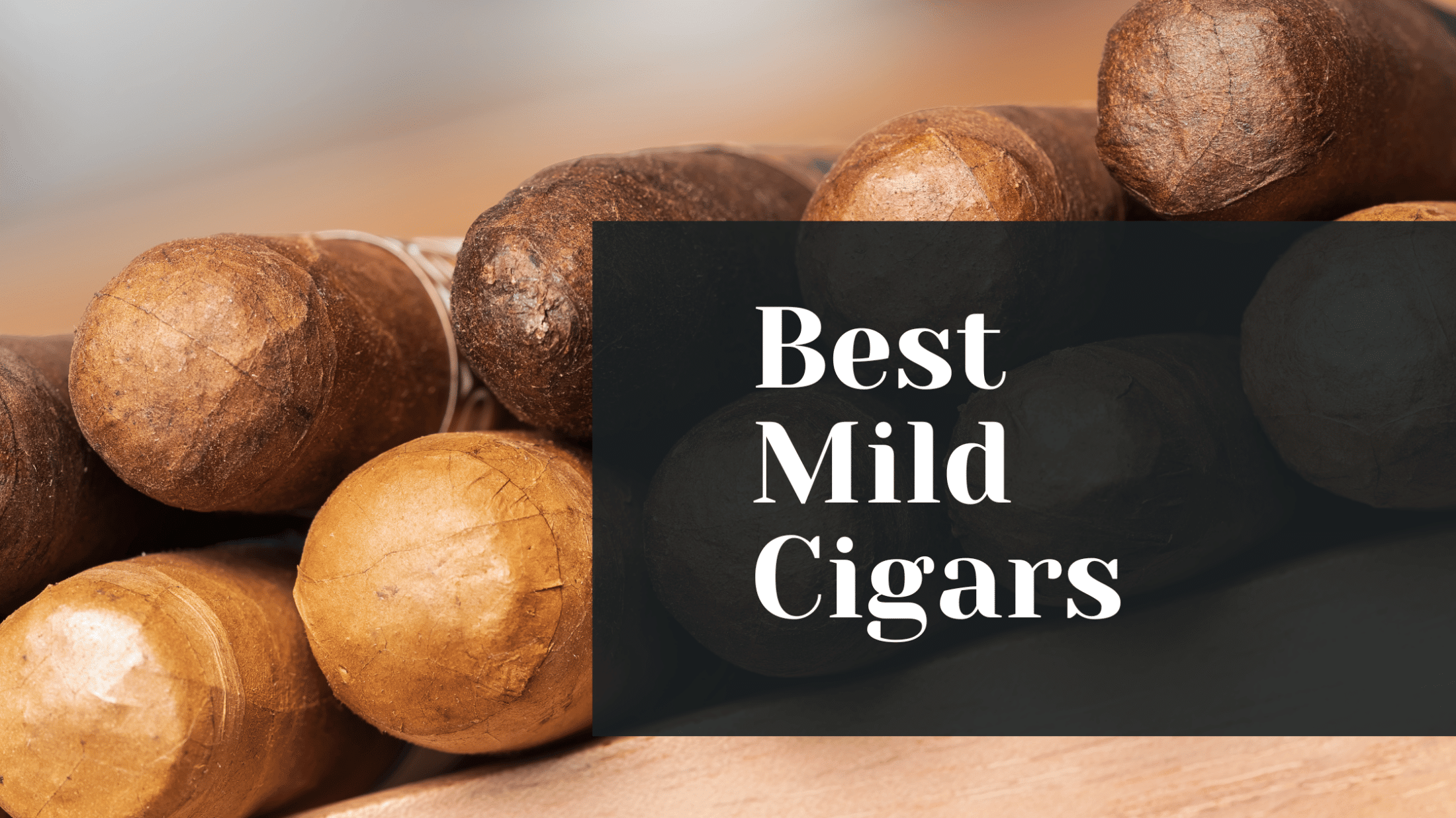 Stack of cigars with text that reads Best Mild Cigars